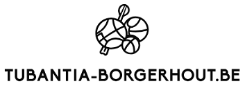 Tubantia-Borgerhout.be – Wedden Strategie